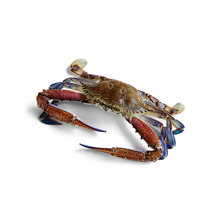 Blue Swimmer Crab Raw 300g - 350g product image