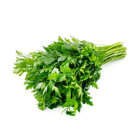 Continental Parsley product image