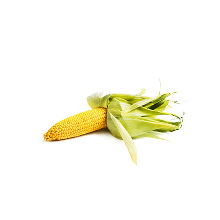 Corn single - husk on product image