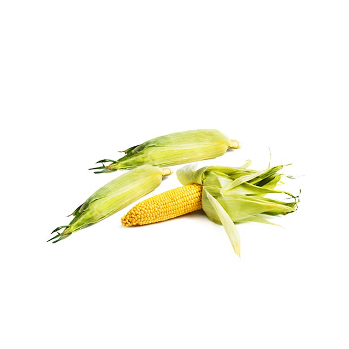 Corn 3pk - husk on product image