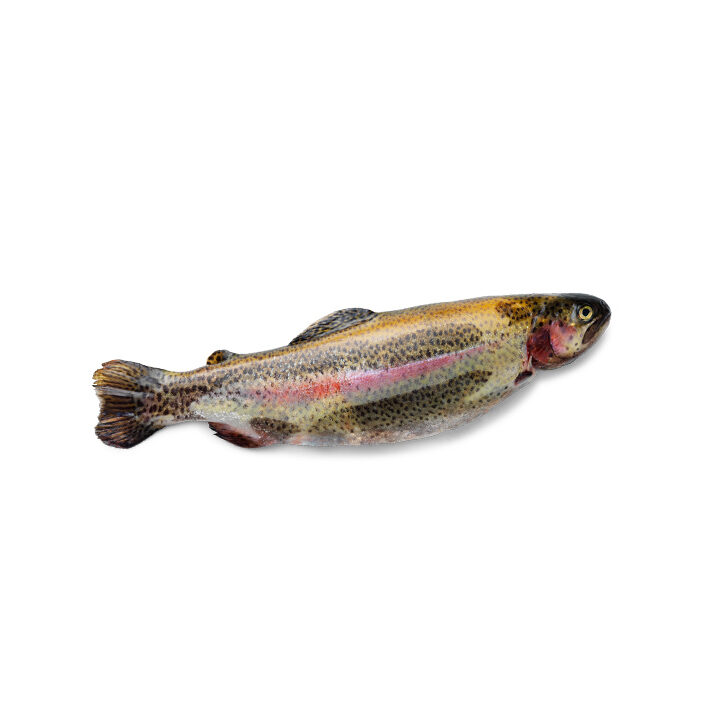 Rainbow Trout Whole 400g - 450g product image