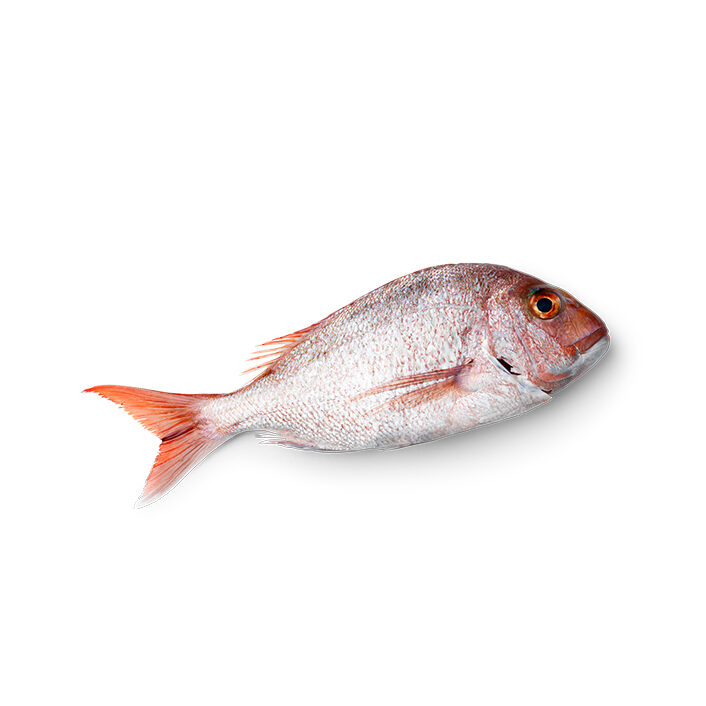 Baby Snapper Wild Caught Whole 450g - 600g product image