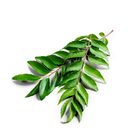 Curry Leaves product image