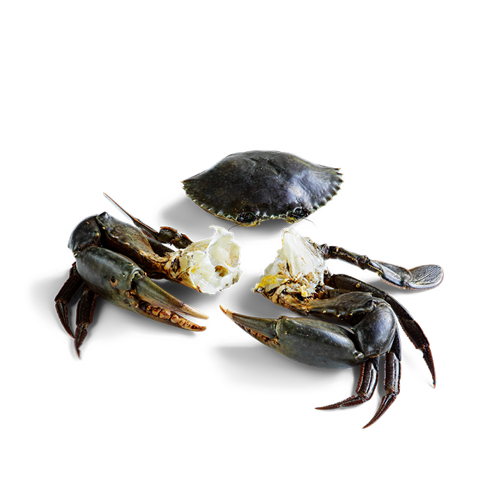 Green Mud Crab - Cleaned 1kg - 1.1kg product image