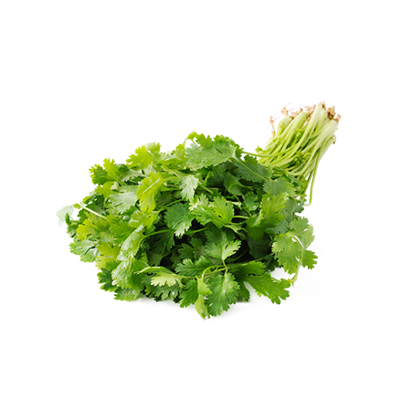 Coriander product image