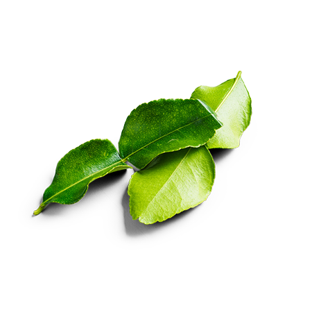 Kaffir Lime Leaves product image