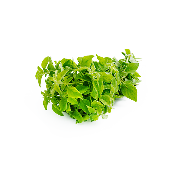 Oregano product image