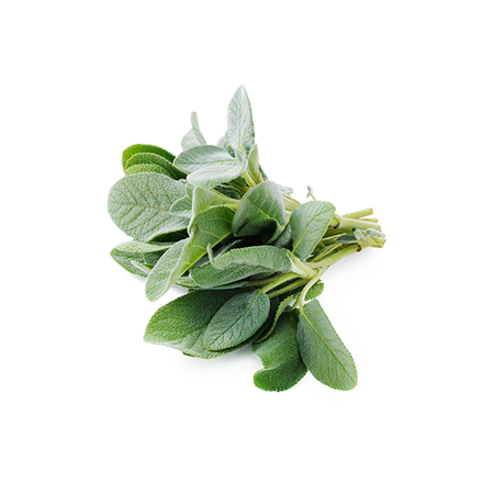 Sage product image