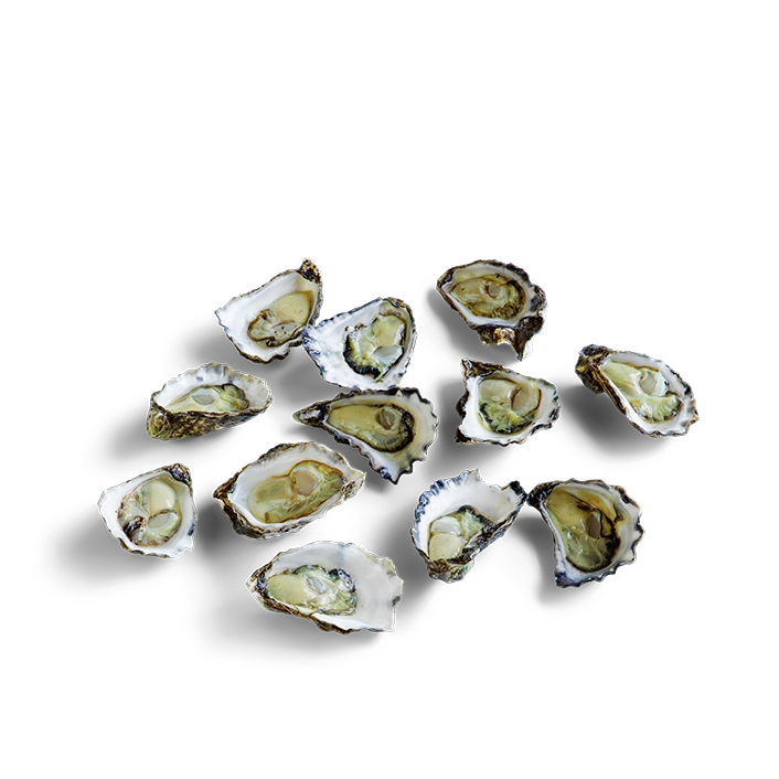 Sydney Rock Oysters Open Large (1 dozen) product image