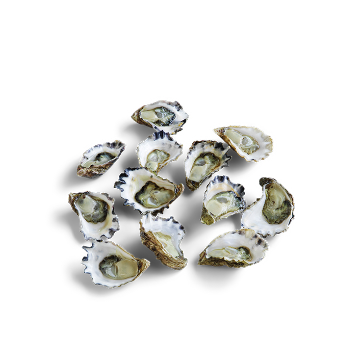 Sydney Rock Oysters Open Medium (1 dozen) product image