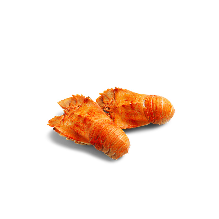 Cooked Moreton Bay Bug Wild Caught 200g - 300g product image