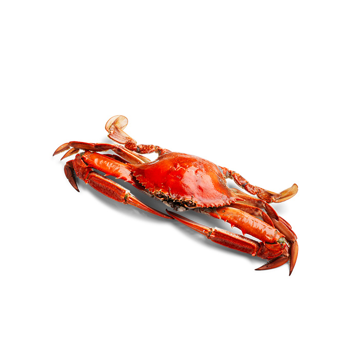 Blue Swimmer Crab Cooked 250g - 300g product image
